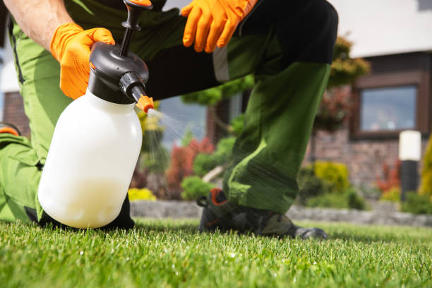 Best Rodent Control Near Me  in South Hill, VA