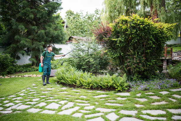 Best Best Pest Control Companies  in South Hill, VA
