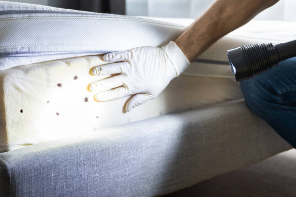 Best Commercial Pest Control Services  in South Hill, VA