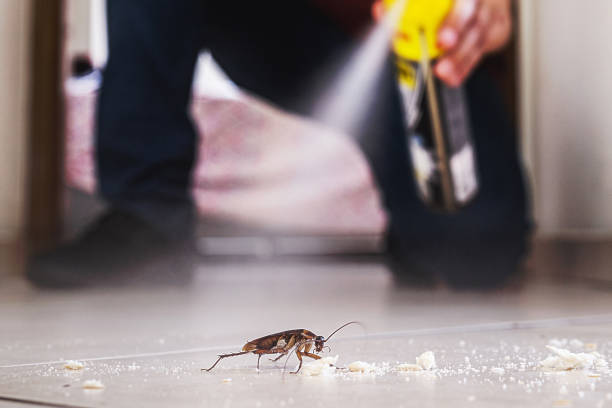 Best Best Pest Control Companies  in South Hill, VA