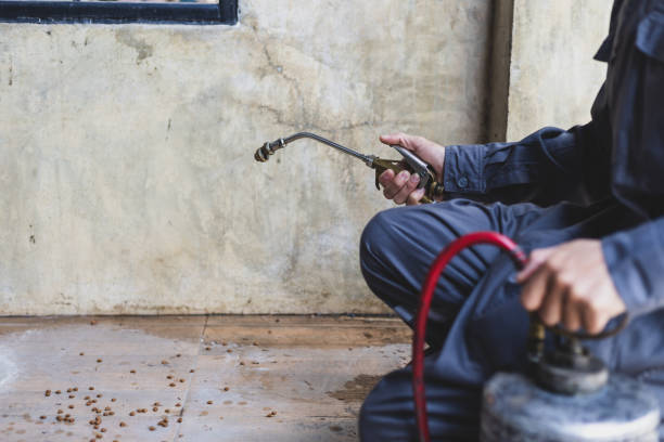 Trusted South Hill, VA Pest Control Experts